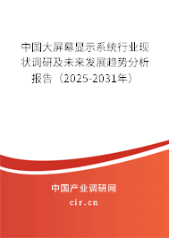 中國大屏幕顯示系統(tǒng)行業(yè)現(xiàn)狀調(diào)研及未來發(fā)展趨勢分析報告（2025-2031年）