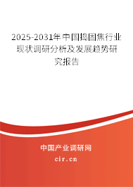 2025-2031年中國(guó)搗固焦行業(yè)現(xiàn)狀調(diào)研分析及發(fā)展趨勢(shì)研究報(bào)告 2025-2031年中國(guó)搗固焦行業(yè)現(xiàn)狀調(diào)研分析及發(fā)展趨勢(shì)研究報(bào)告