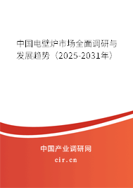 中國電壁爐市場全面調(diào)研與發(fā)展趨勢（2025-2031年）