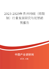 2023-2029年貴州純堿（碳酸鈉）行業(yè)發(fā)展研究與前景趨勢報告