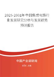 2025-2031年中國集成電路行業(yè)發(fā)展研究分析與發(fā)展趨勢預(yù)測報告