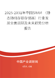 2025-2031年中國SRAM (靜態(tài)隨機存取存儲器)行業(yè)發(fā)展全面調(diào)研及未來趨勢分析報告 2025-2031年中國SRAM (靜態(tài)隨機存取存儲器)行業(yè)發(fā)展全面調(diào)研及未來趨勢分析報告