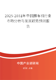 2024-2030年中國(guó)推車機(jī)行業(yè)市場(chǎng)分析與發(fā)展趨勢(shì)預(yù)測(cè)報(bào)告 2024-2030年中國(guó)推車機(jī)行業(yè)市場(chǎng)分析與發(fā)展趨勢(shì)預(yù)測(cè)報(bào)告