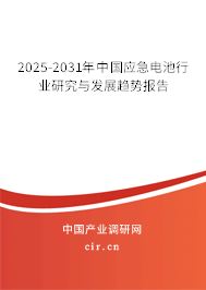 2025-2031年中國(guó)應(yīng)急電池行業(yè)研究與發(fā)展趨勢(shì)報(bào)告 2025-2031年中國(guó)應(yīng)急電池行業(yè)研究與發(fā)展趨勢(shì)報(bào)告