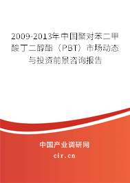 2009-2013年中國聚對苯二甲酸丁二醇酯（PBT）市場動態(tài)與投資前景咨詢報告
