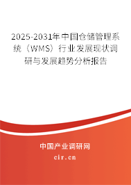 2025-2031年中國倉儲管理系統(tǒng)(WMS)行業(yè)發(fā)展現(xiàn)狀調(diào)研與發(fā)展趨勢分析報告 2025-2031年中國倉儲管理系統(tǒng)(WMS)行業(yè)發(fā)展現(xiàn)狀調(diào)研與發(fā)展趨勢分析報告