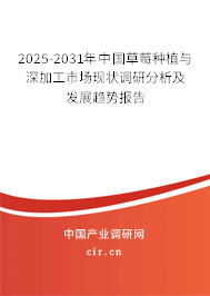 2025-2031年中國(guó)草莓種植與深加工市場(chǎng)現(xiàn)狀調(diào)研分析及發(fā)展趨勢(shì)報(bào)告