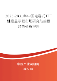 2025-2031年中國(guó)電容式TFT觸摸顯示器市場(chǎng)研究與前景趨勢(shì)分析報(bào)告