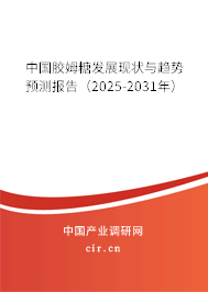中國膠姆糖發(fā)展現(xiàn)狀與趨勢預(yù)測報告（2025-2031年）