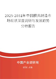 2025-2031年中國模具制造市場現(xiàn)狀深度調(diào)研與發(fā)展趨勢分析報告