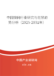 中國(guó)鎳網(wǎng)行業(yè)研究與前景趨勢(shì)分析(2025-2031年) 中國(guó)鎳網(wǎng)行業(yè)研究與前景趨勢(shì)分析(2025-2031年)