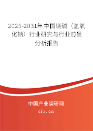 2025-2031年中國燒堿（氫氧化鈉）行業(yè)研究與行業(yè)前景分析報告