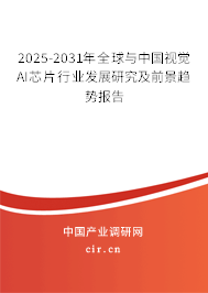 2025-2031年全球與中國(guó)視覺(jué)AI芯片行業(yè)發(fā)展研究及前景趨勢(shì)報(bào)告