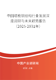 中國塔桅鋼結(jié)構(gòu)行業(yè)發(fā)展深度調(diào)研與未來趨勢報告(2025-2031年) 中國塔桅鋼結(jié)構(gòu)行業(yè)發(fā)展深度調(diào)研與未來趨勢報告(2025-2031年)
