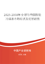 2025-2030年全球與中國(guó)智能冷媒表市場(chǎng)現(xiàn)狀及前景趨勢(shì) 2025-2030年全球與中國(guó)智能冷媒表市場(chǎng)現(xiàn)狀及前景趨勢(shì)