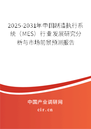 2025-2031年中國制造執(zhí)行系統(tǒng)（MES）行業(yè)發(fā)展研究分析與市場前景預測報告