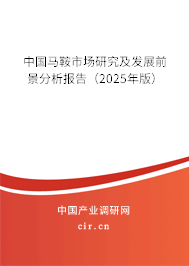 中國(guó)馬鞍市場(chǎng)研究及發(fā)展前景分析報(bào)告（2025年版）