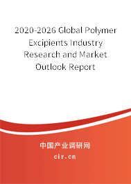 2020-2026 Global Polymer Excipients Industry Research and Market Outlook Report 2020-2026 Global Polymer Excipients Industry Research and Market Outlook Report