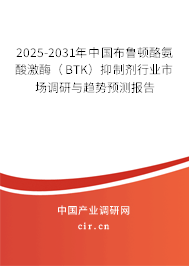 2025-2031年中國布魯頓酪氨酸激酶(BTK)抑制劑行業(yè)市場(chǎng)調(diào)研與趨勢(shì)預(yù)測(cè)報(bào)告 2025-2031年中國布魯頓酪氨酸激酶(BTK)抑制劑行業(yè)市場(chǎng)調(diào)研與趨勢(shì)預(yù)測(cè)報(bào)告