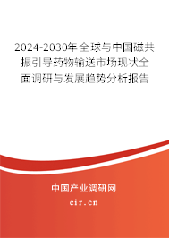 2024-2030年全球與中國磁共振引導藥物輸送市場現(xiàn)狀全面調(diào)研與發(fā)展趨勢分析報告 2024-2030年全球與中國磁共振引導藥物輸送市場現(xiàn)狀全面調(diào)研與發(fā)展趨勢分析報告