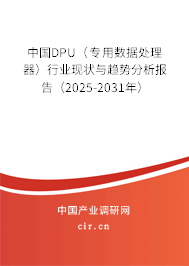 中國DPU(專用數(shù)據(jù)處理器)行業(yè)現(xiàn)狀與趨勢分析報告(2025-2031年) 中國DPU(專用數(shù)據(jù)處理器)行業(yè)現(xiàn)狀與趨勢分析報告(2025-2031年)