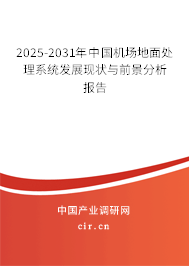 2025-2031年中國機場地面處理系統(tǒng)發(fā)展現(xiàn)狀與前景分析報告
