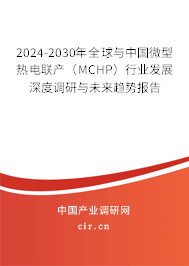 2024-2030年全球與中國微型熱電聯(lián)產(chǎn)（MCHP）行業(yè)發(fā)展深度調(diào)研與未來趨勢報告