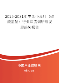 2025-2031年中國小蘇打（碳酸氫鈉）行業(yè)深度調(diào)研與發(fā)展趨勢報告