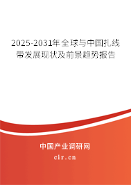 2025-2031年全球與中國扎線帶發(fā)展現(xiàn)狀及前景趨勢報(bào)告