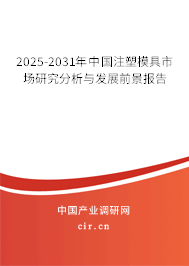 2025-2031年中國(guó)注塑模具市場(chǎng)研究分析與發(fā)展前景報(bào)告