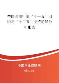 中國酒精行業(yè)“十一五”回顧與“十二五”投資前景分析報告