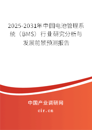 2025-2031年中國(guó)電池管理系統(tǒng)（BMS）行業(yè)研究分析與發(fā)展前景預(yù)測(cè)報(bào)告