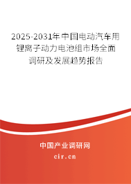 2025-2031年中國(guó)電動(dòng)汽車用鋰離子動(dòng)力電池組市場(chǎng)全面調(diào)研及發(fā)展趨勢(shì)報(bào)告