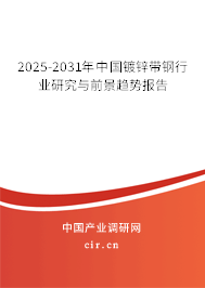 2025-2031年中國鍍鋅帶鋼行業(yè)研究與前景趨勢報(bào)告 2025-2031年中國鍍鋅帶鋼行業(yè)研究與前景趨勢報(bào)告