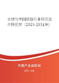 全球與中國硫醇行業(yè)研究及市場前景(2025-2031年) 全球與中國硫醇行業(yè)研究及市場前景(2025-2031年)