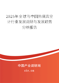 2025年全球與中國熱偶真空計行業(yè)發(fā)展調(diào)研與發(fā)展趨勢分析報告