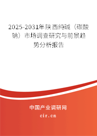 2025-2031年陜西純堿(碳酸鈉)市場調(diào)查研究與前景趨勢分析報告 2025-2031年陜西純堿(碳酸鈉)市場調(diào)查研究與前景趨勢分析報告
