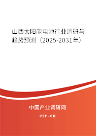 山西太陽(yáng)能電池行業(yè)調(diào)研與趨勢(shì)預(yù)測(cè)（2025-2031年）