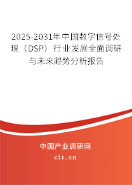 2025-2031年中國數(shù)字信號處理（DSP）行業(yè)發(fā)展全面調(diào)研與未來趨勢分析報(bào)告