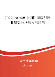 2022-2028年中國性潤滑劑行業(yè)研究分析與發(fā)展趨勢 2022-2028年中國性潤滑劑行業(yè)研究分析與發(fā)展趨勢