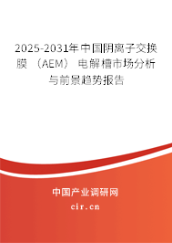 2025-2031年中國(guó)陰離子交換膜 (AEM) 電解槽市場(chǎng)分析與前景趨勢(shì)報(bào)告 2025-2031年中國(guó)陰離子交換膜 (AEM) 電解槽市場(chǎng)分析與前景趨勢(shì)報(bào)告