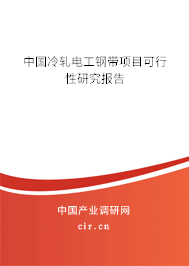 中國冷軋電工鋼帶項(xiàng)目可行性研究報(bào)告 中國冷軋電工鋼帶項(xiàng)目可行性研究報(bào)告