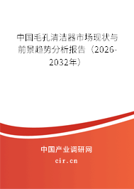 中國毛孔清潔器市場現(xiàn)狀與前景趨勢分析報告（2026-2032年）