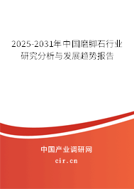 2025-2031年中國磨腳石行業(yè)研究分析與發(fā)展趨勢報告 2025-2031年中國磨腳石行業(yè)研究分析與發(fā)展趨勢報告