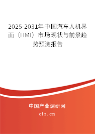 2025-2031年中國汽車人機界面（HMI）市場現(xiàn)狀與前景趨勢預測報告