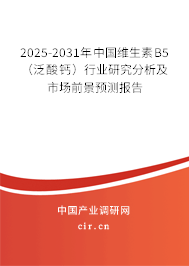 2025-2031年中國(guó)維生素B5（泛酸鈣）行業(yè)研究分析及市場(chǎng)前景預(yù)測(cè)報(bào)告