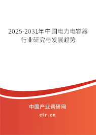 2025-2031年中國(guó)電力電容器行業(yè)研究與發(fā)展趨勢(shì) 2025-2031年中國(guó)電力電容器行業(yè)研究與發(fā)展趨勢(shì)