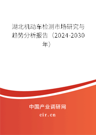 湖北機動車檢測市場研究與趨勢分析報告(2024-2030年) 湖北機動車檢測市場研究與趨勢分析報告(2024-2030年)