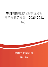 中國堿性電池行業(yè)市場分析與前景趨勢報告（2025-2031年）