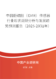 中國(guó)巨磁阻（GMR）傳感器行業(yè)現(xiàn)狀調(diào)研分析與發(fā)展趨勢(shì)預(yù)測(cè)報(bào)告（2025-2031年）